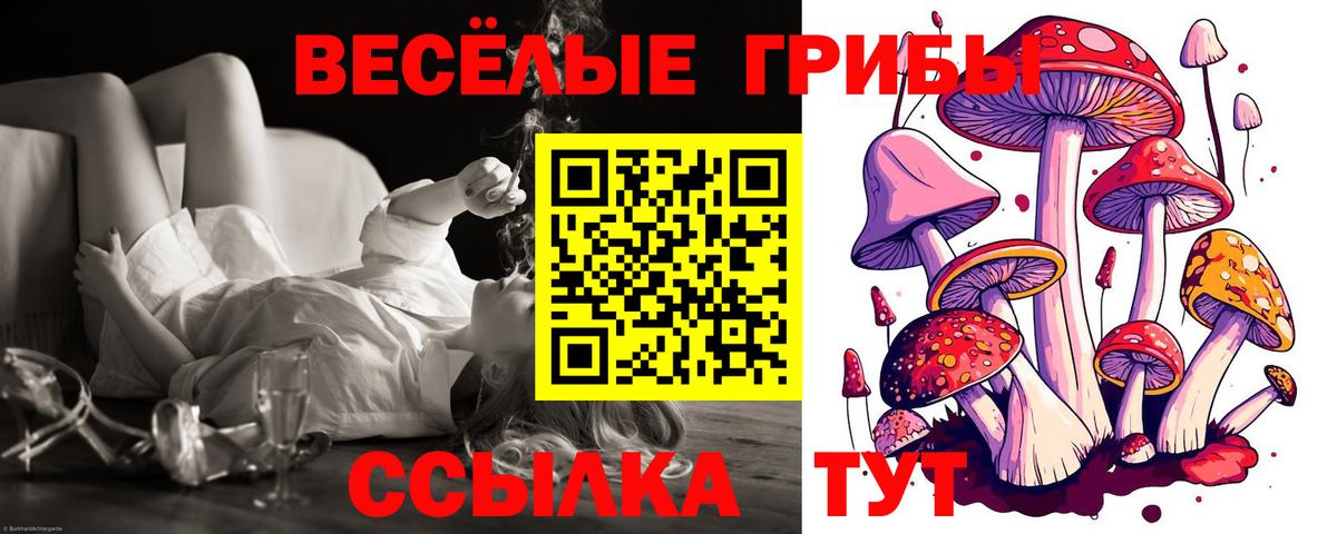 Ухта  Псилоцибиновые грибы Psilocybe  Псилоцибиновые грибы MAGIC MUSHROOMS  Вход с VPN 